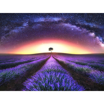 

5D DIY Diamond Painting Full Square Scenic Lavender Embroidery Sale Rhinestone Pictures Mosaic Home Decor Gift
