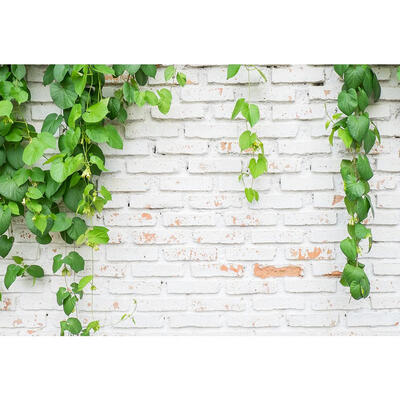 

Green Plant Brick Texture Photography Background Cloth Backdrop Photo Decor