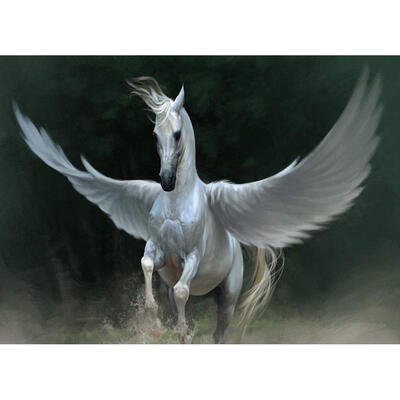 

5D DIY Full Drill Diamond Painting Flying Horse Cross Stitch Embroidery Kit