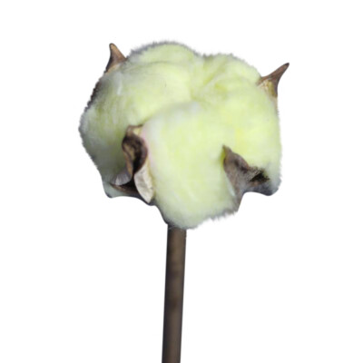 

〖Follure〗Artificial Cotton Flower Single Branch Simulation Flower DIY Deco For Home Party