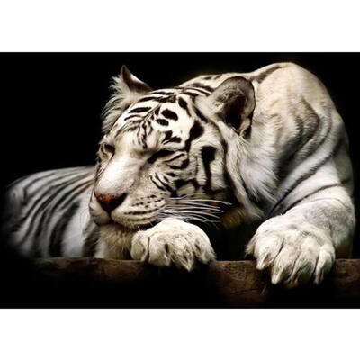 

5D DIY Full Drill Diamond Painting White Tiger Cross Stitch Embroidery Kits