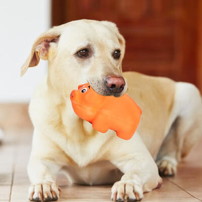 

Greensen 4Pcs Soft Non-toxic Sounding Teeth Cleaning Protection Biting Toy for Pet Dog
