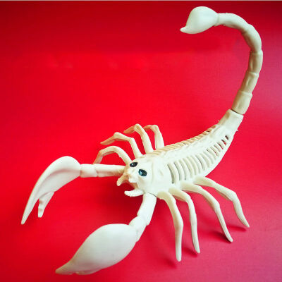 

New Hot Animal Skeleton Model BatSpiderScorpionLizard Bones Halloween Party Decoration