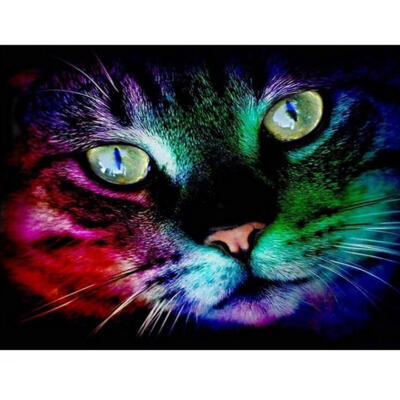 

5D DIY Full Drill Square Diamond Painting Colorful Cat Cross Stitch Mosaic