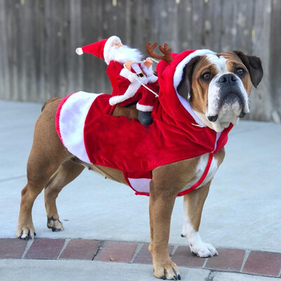 

Gobestart New Pet Dog Christmas Santa Claus Style Transformed Coat Cat Dog Clothing