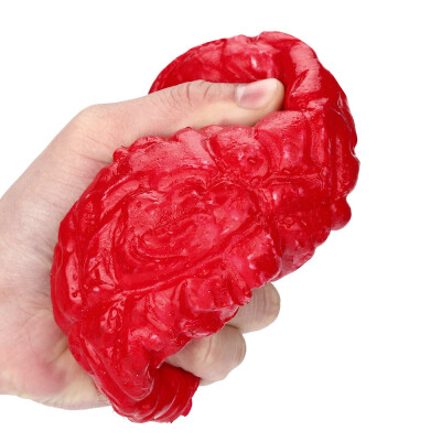 

YIWULANovelty Silicone Stress Ball Scary Organ Brain Squeeze Toy Stress Reliever Toy