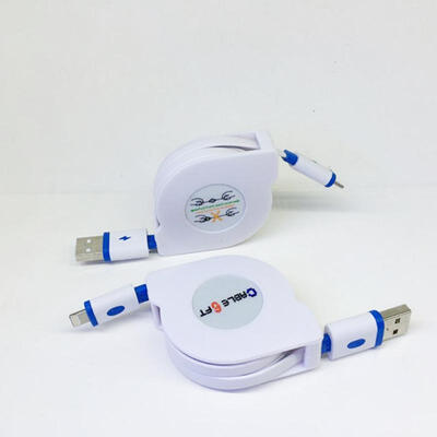 

Lightning To USB Cable 2m66ft Retractable USB Charging Cable For IPhone  Max X XR 8 7 6s 6 Plus SE 5 5s IPad IPod-2m