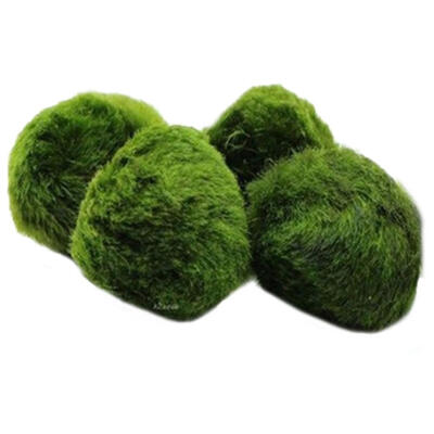 

Aquarium Plants Seeds Fish Tank Aquatic Water Moss Balls Landscape Decor