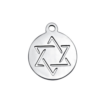 

304 Stainless Steel Charms Flat Round with Star of David Stainless Steel Color 14x12mm