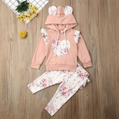 

US Baby Girl Tracksuit Hooded Sweatshirt Top Pants Trousers Outfit Clothes Sets