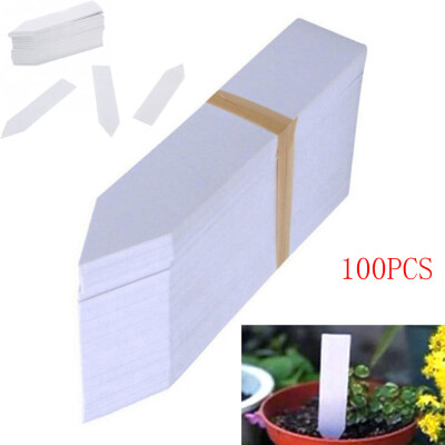 

Siaonvr 100 Pcs Plastic Plant Seed Labels Pot Marker Nursery Garden Stake Tags 10cm x2cm