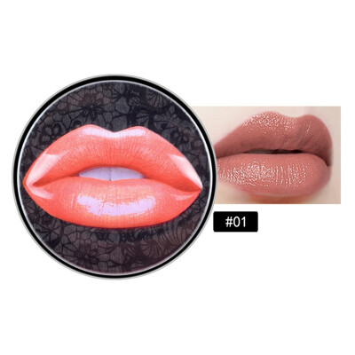 

Makeup Lipstick Waterproof Long-lasting Moisturizing Silk Velvet Lipstick With Brush style