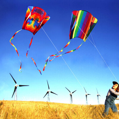 

Tailored New Power Kite Qutdoor Fun Toys Parafoil Parachute Dual Line surfing Toys MR