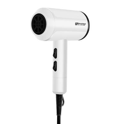 

1000W 2 Speeds Anion Hairdryer Hair Blow Dryer Fast Straightening Irons EU