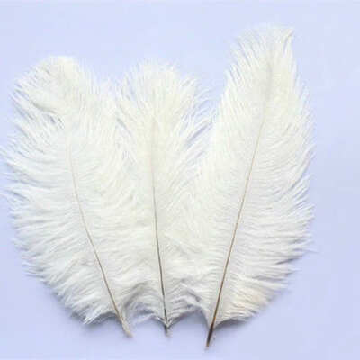 

2510pcs DIY Fluffy Clothes Feathers Crafts Carnival Costumes Party Home Wedding Decorations