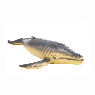 

Tailored Educational Science Sea Animals Toy Simulated Model Toy For Kids Children Gift