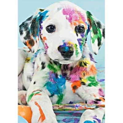 

5D DIY Full Drill Square Diamond Painting Dog Cross Stitch Embroidery Kit