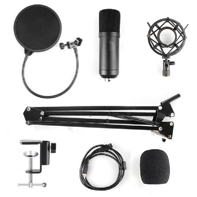 

Condenser Microphone Adjustable Condenser Microphone Kit Studio Suspension Boom for Computer Audio Studio Recording Vocal Mic with