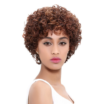 

Noble Brazilian Afro Kinky Curly Human Hair Wig Remy Short Human Hair Wigs Mix Color Non Lace Wig Free Shipping