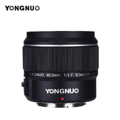 

YONGNUO YN425mm F17M Large Aperture Auto FocusManual Focus Lens Standard Prime Lens for M43 Mount DSLR Cameras Compatible with