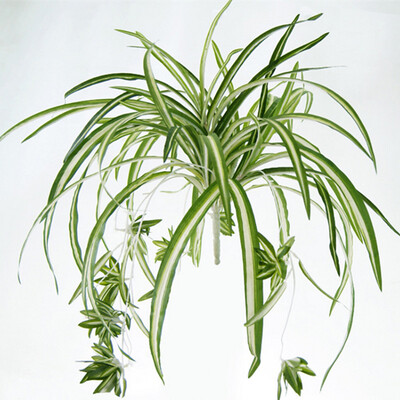 

1 Bouquet Large Size Simulatio Chlorophytum Comosumn Plant Wall Decorate Artificial Plant 60CM