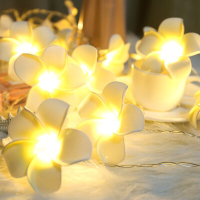 

Gobestart LED Lights Plumeria Flower 10 Ft3M 20 Leds Battery Powered Indoor Outdoor Decor