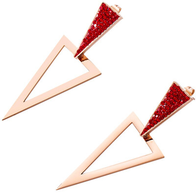 

New wave decorative earrings fashion femininity French niche geometry ear jewelry