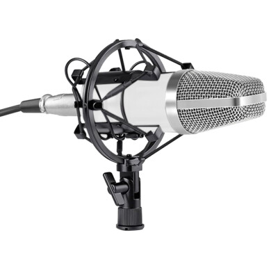 

BM-700 Studio Broadcasting Recording Condenser Microphone