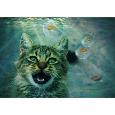 

5D DIY Full Drill Diamond Painting Cat Animal Cross Stitch Embroidery Kits