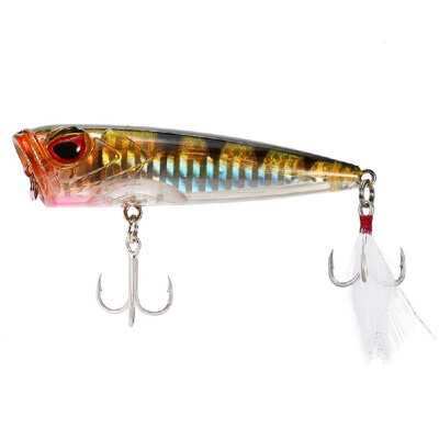 

Hard Fishing Bait Popper Fishing Lure Topwater Floating Popper Lure 3D Artificial Fishing Bait Fishing Accessory