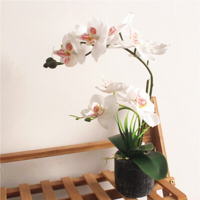 

Simulated Artificial Bonsai Butterfly Orchid Flower Plant Home Garden Decor Top