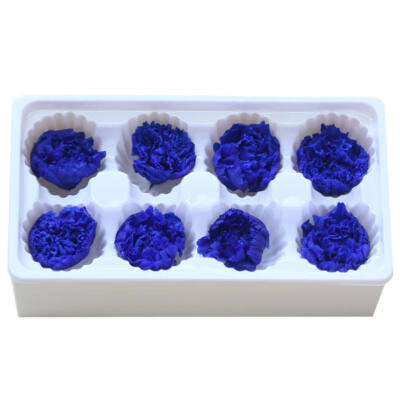 

Handmade Preserved Fresh Flowers Gift Pack Immortal Flower Eternal Carnation Heads for Gift