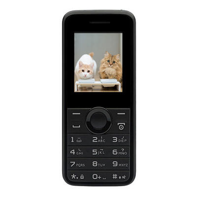 

Philips E106 Dual SIM Dual Standby 177 Inches Feature Phone With 1050mAh Battery No Camera