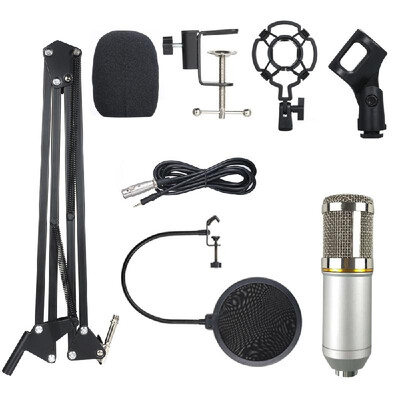 

BM800 Professional Suspension Microphone Kit Studio Live Stream Broadcasting Recording Condenser Microphone Set