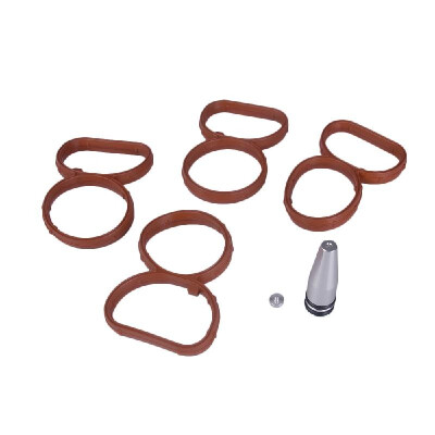 

Swirl Flap Flaps Plug Blank Removal Replacement with Gaskets for BMW N47 20 D