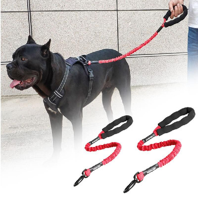 

DODOPET Dog Pet Bungee Leash Pet Dog Rope Leash Dog Leash Nylon Rope Pet Running Training Dog Mountain Climbing Rope