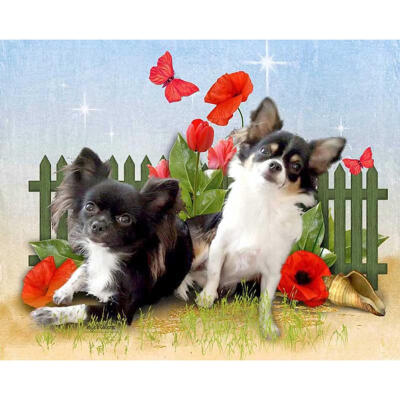 

5D DIY Full Drill Diamond Painting Sitting Dogs Cross Stitch Embroidery Kit