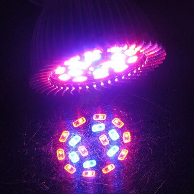 

Full Spectrum LED Indoor Red Blue Plant Grow Light