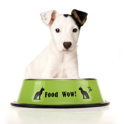 

Fashion Stainless Steel Anti-skid Dog Cat Food Water Bowl Pet Feeding Tool
