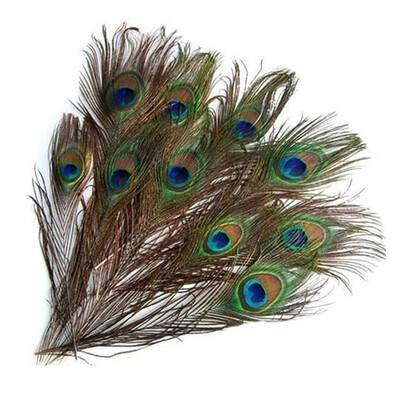 

25-30cm Natural Bird Tail Feathers Beautiful Clothes Hair Costuming Decor Feathers for DIY Decoration