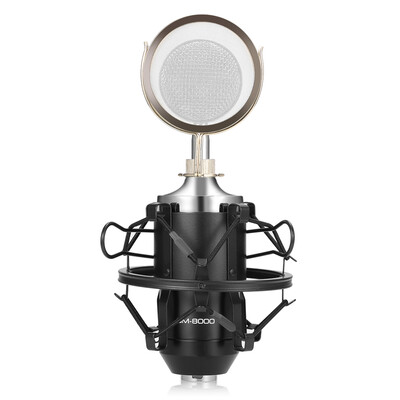 

LEIHAO BM - 8000 Professional Sound Studio Recording Condenser Microphone with 35mm Plug Stand Holder