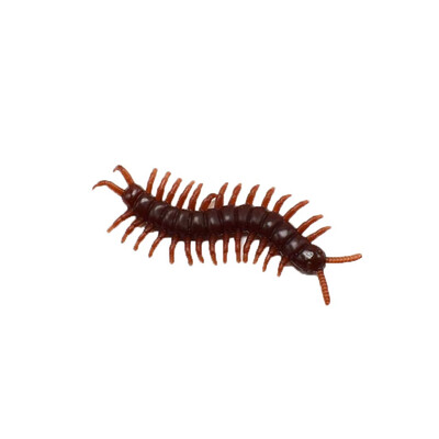 

Siaonvr April Fools Day Toys Simulation Cockroach Tricky Joke Scary Insects 10 Pcs