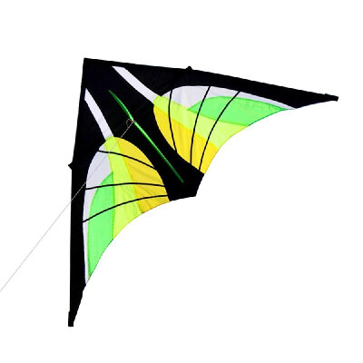 

Colorful Huge Delta Kite Outdoor Sport Single Line Flying Kite with 30m Flying Line for Kids Adults