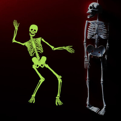 

〖Follure〗60x90cm Luminous Skeleton Skeleton Halloween Haunted House Bar Corner Tidy Decor