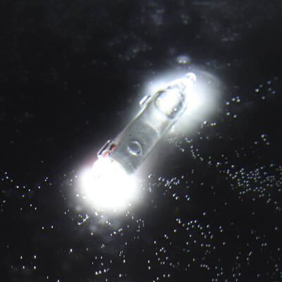 

1 Pcs New Type Fish Luring Light Underwater Fish Attracting Lamp Green Fishing Lure LED Flashing Light Squid Bait