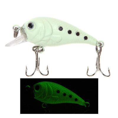 

Lixada 2Pcs 6g 5cm Luminous Hard Fishing Lures Chubby Crank Baits Fishing Tackle with Treble Hooks