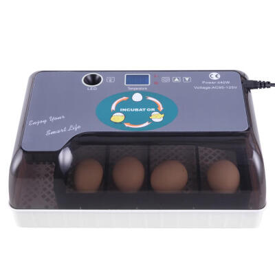 

12-Egg Adjustable Egg Tray Practical Fully Automatic Poultry Incubator Set