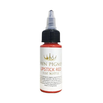 

30ml Bottle T-a-t-t-o-o Ink Professional T-a-t-t-o-o Pigment T-a-t-t-o-o Body Art Makeup