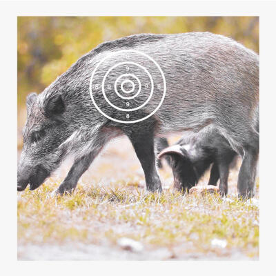 

10pcs Animal Archery Target Paper 440x400mm Wild Boar Pattern Darts Target