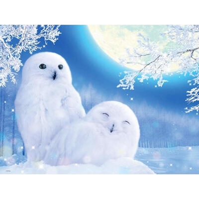 

5D DIY Full Drill Diamond Painting Snow Eagle Cross Stitch Embroidery Kits